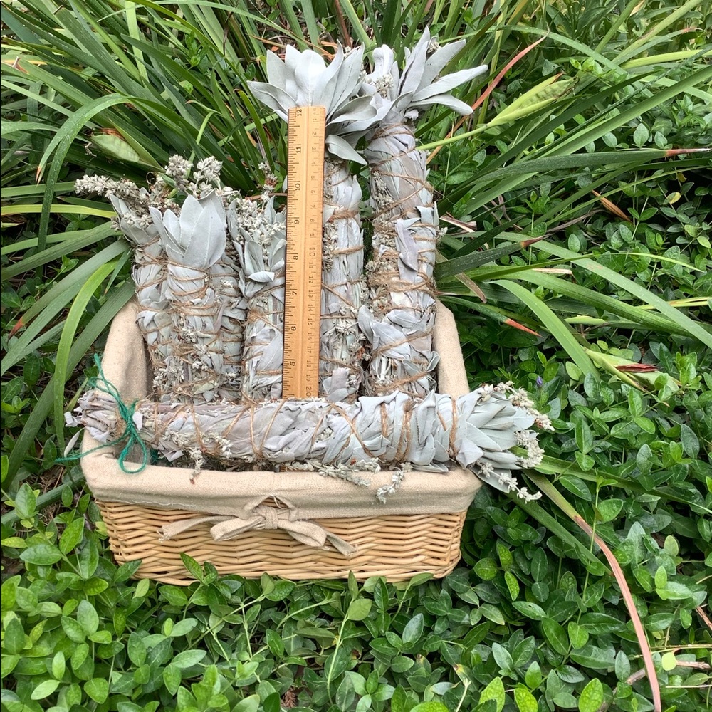 White Sage 8” 1 Stick Organic Smudge Stick - Picture 7 of 15